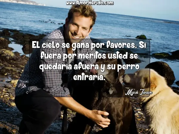 frases interesantes e inteligentes
