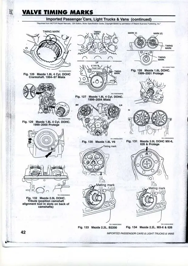 Correas de Distribucion