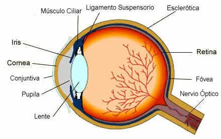 8 consejos para mejorar la vista sin cirugía.