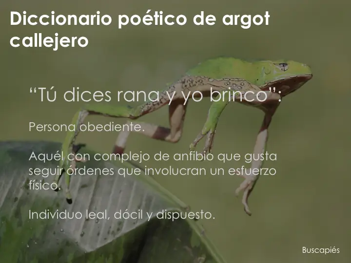 divertido divertido