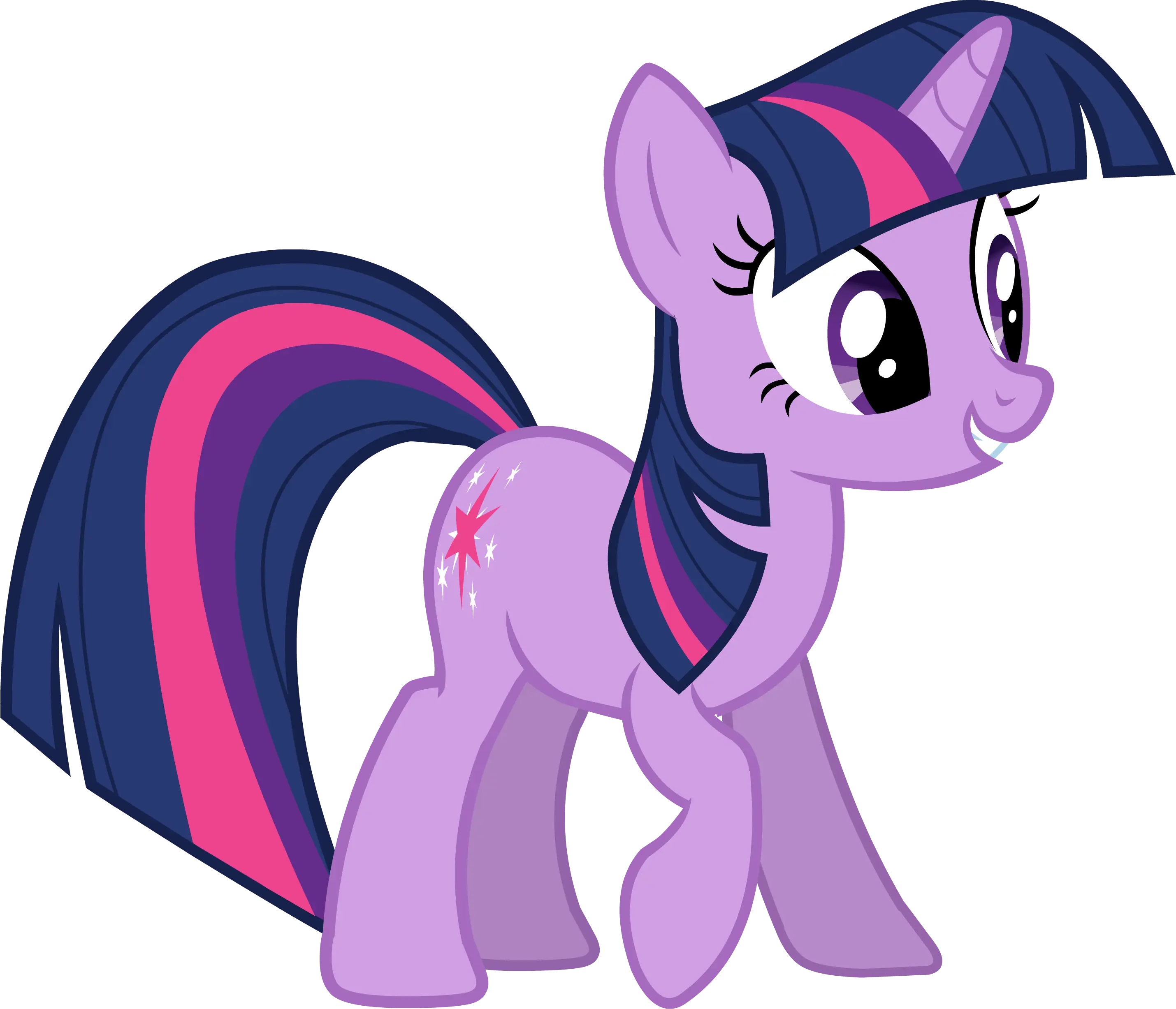 Ponis