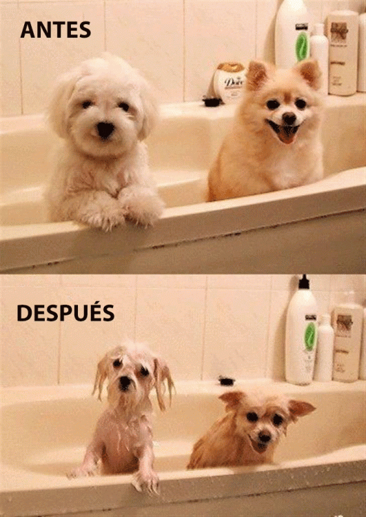 fotos fotos