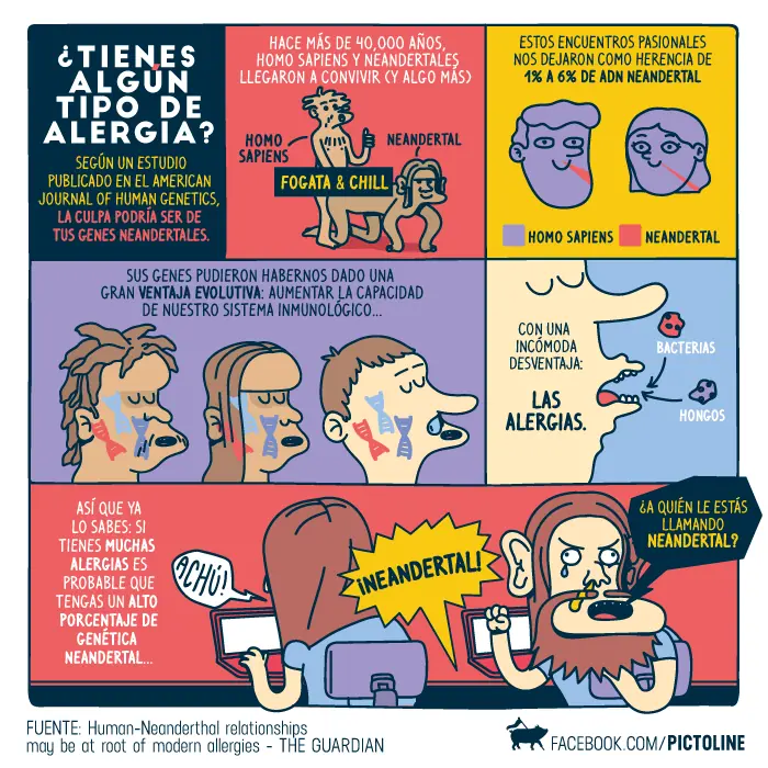 humor humor