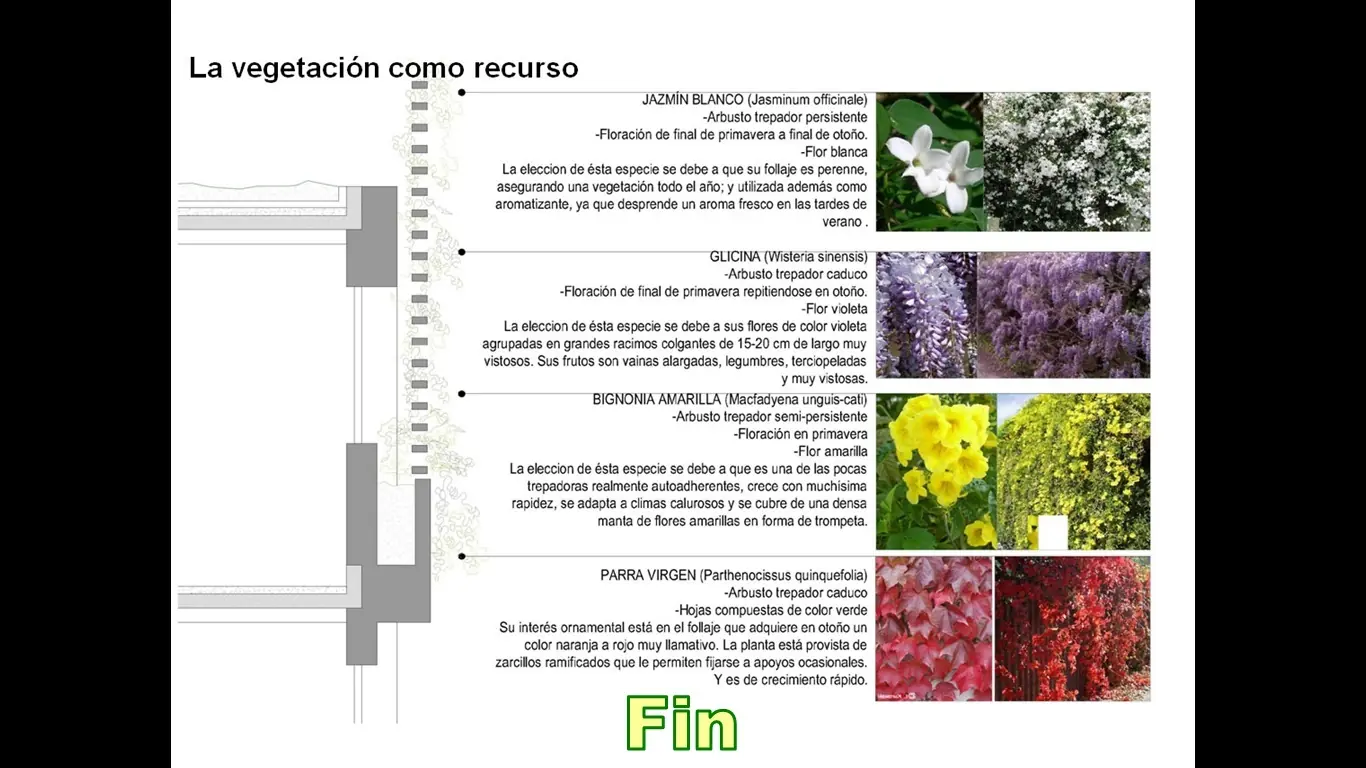 fadu