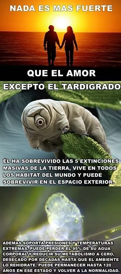 humor