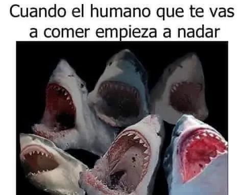 humor
