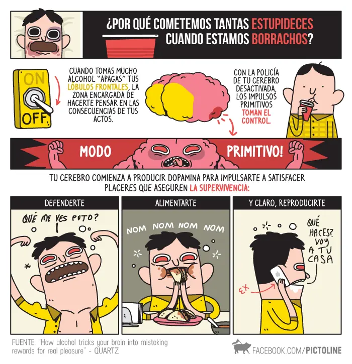 Curiosidades Curiosidades
