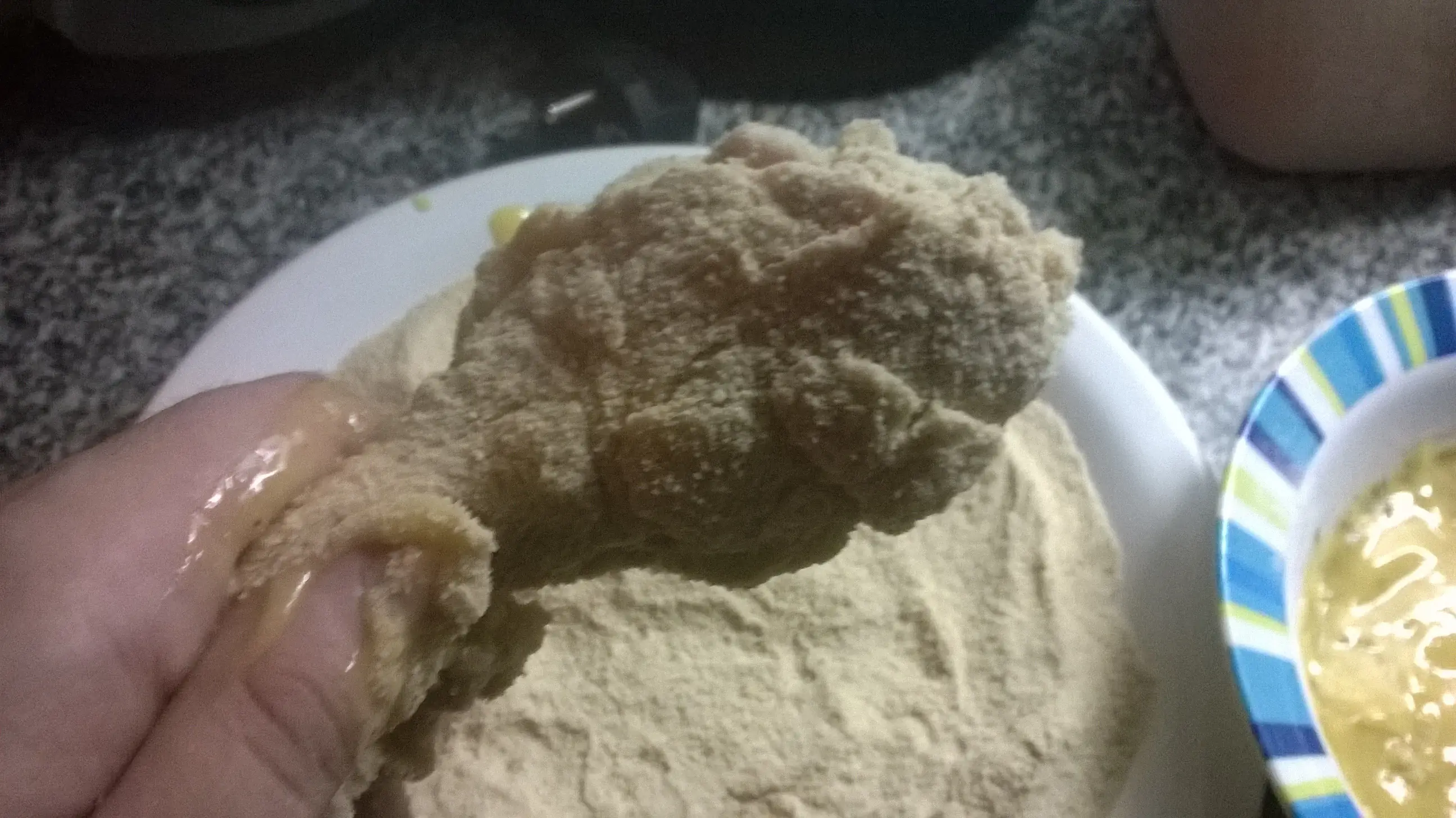 Pollo