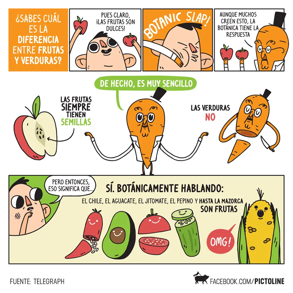 Curiosidades Curiosidades