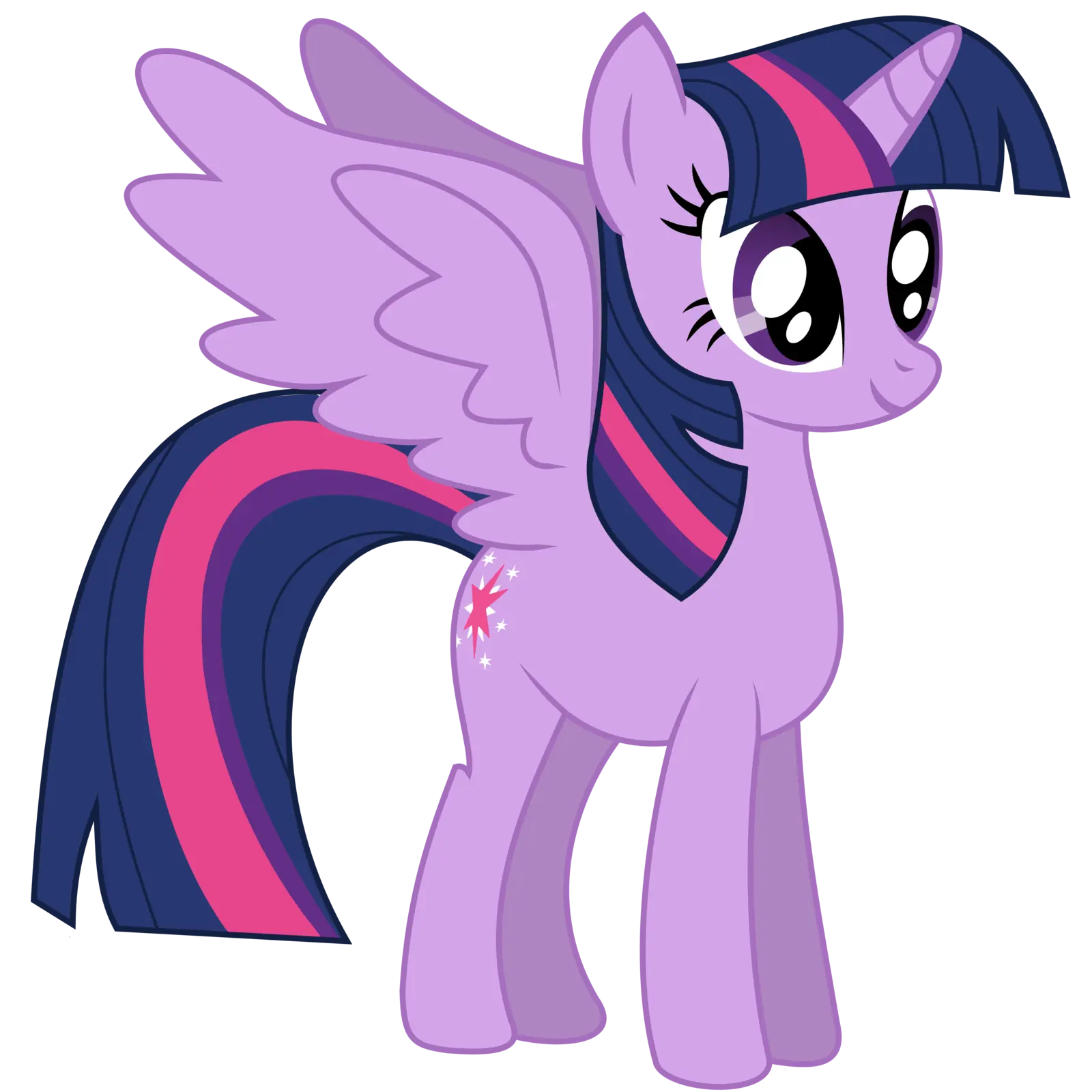 ponys