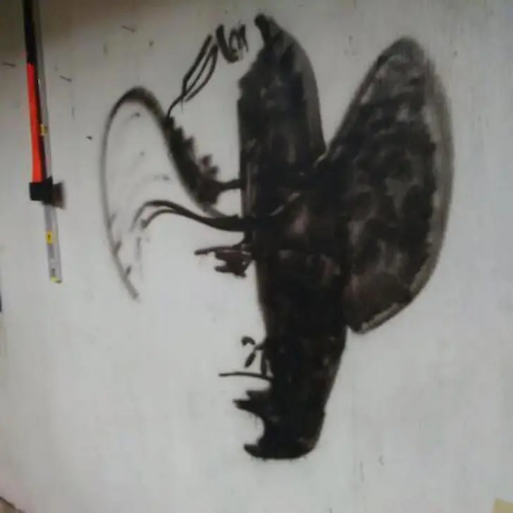 ¿Puedes ver la imagen oculta en esta figura?