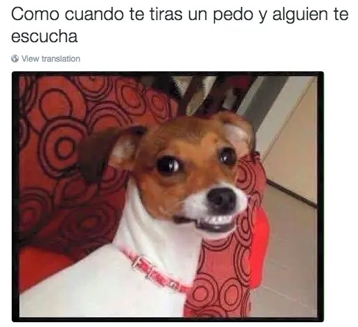 reir