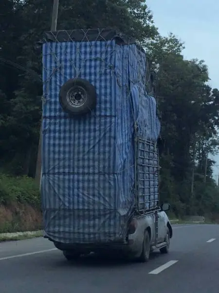 curiosidades