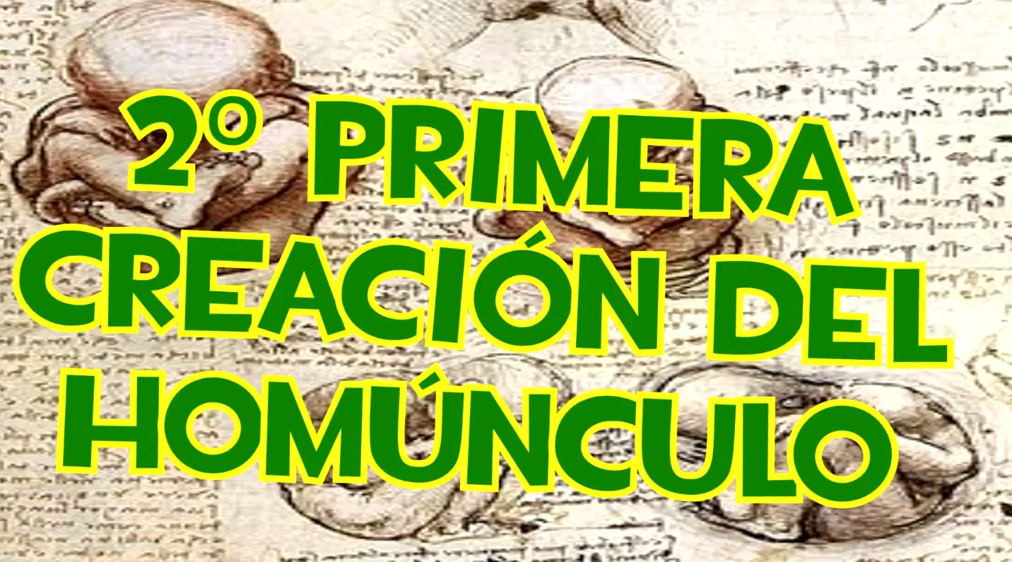 curiosidades