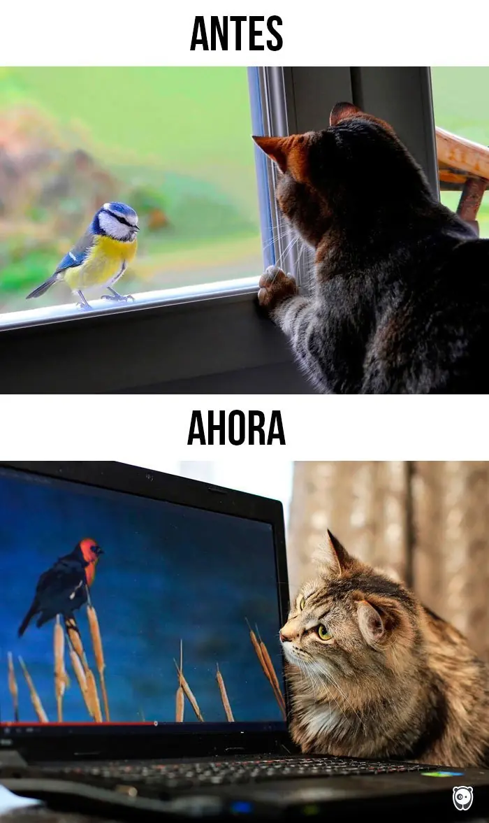 diversion