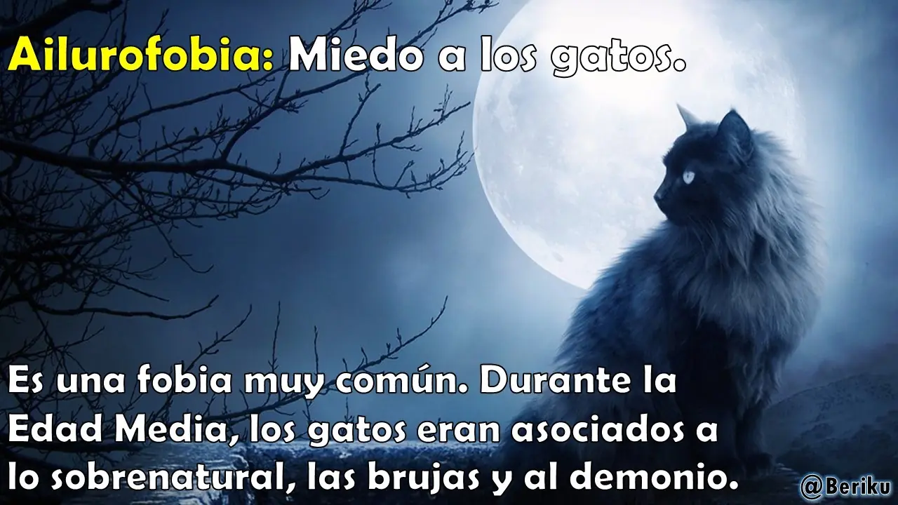 Fobias que Quizás no Conocías [ilustradas] [Vol.2]