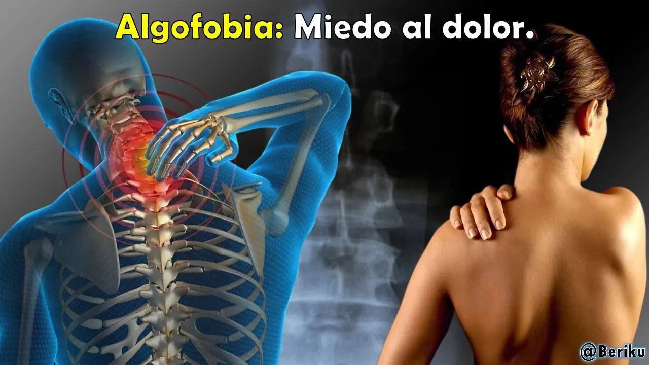 ciencia