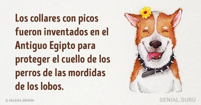 Veridicos
