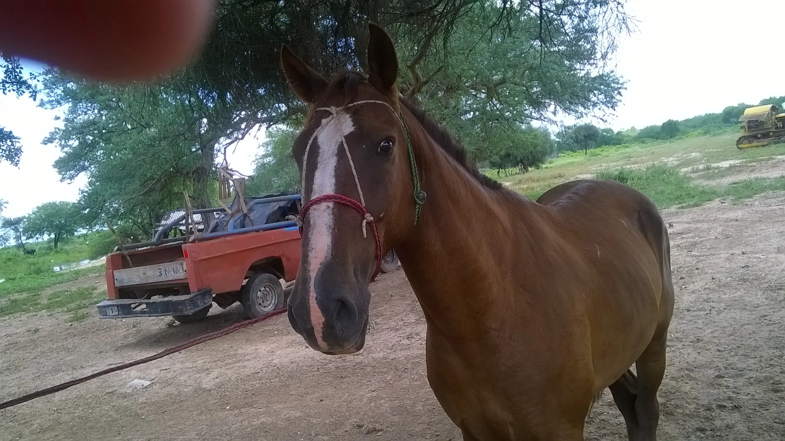 Te gusta el campo, Pasa maquinola