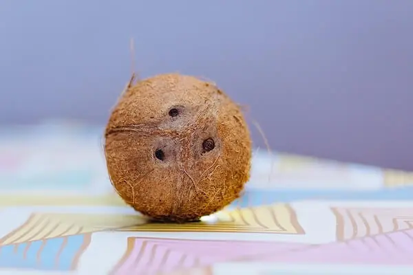 Recetas para un cabello impactante con Aceite de Coco