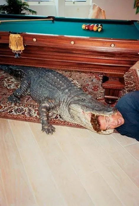 Humor Bizzarro para Maquinolas