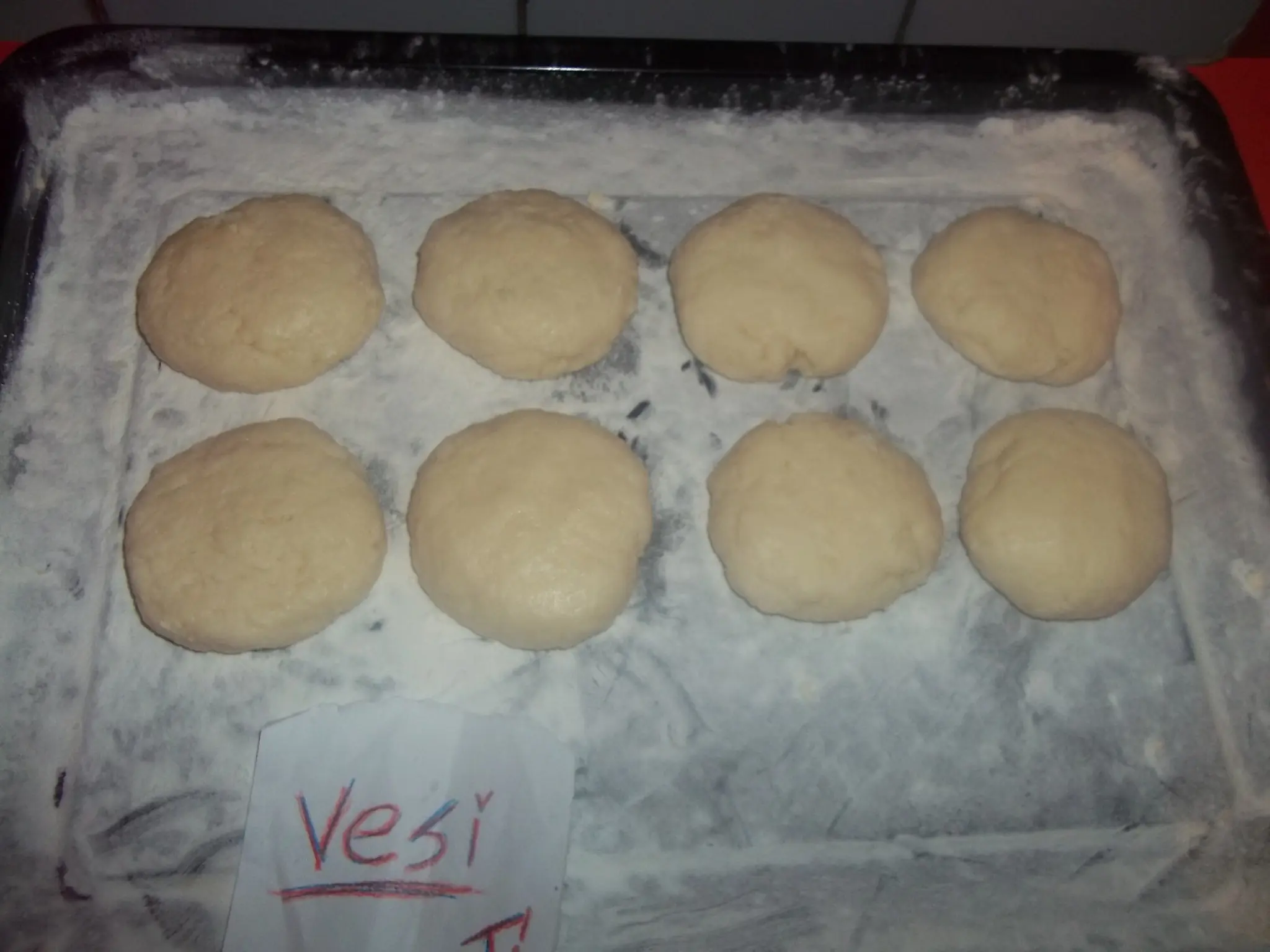 vesinita