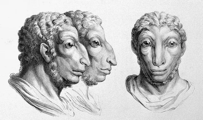osos