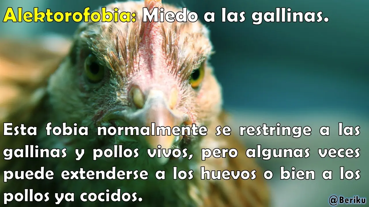ilustradas