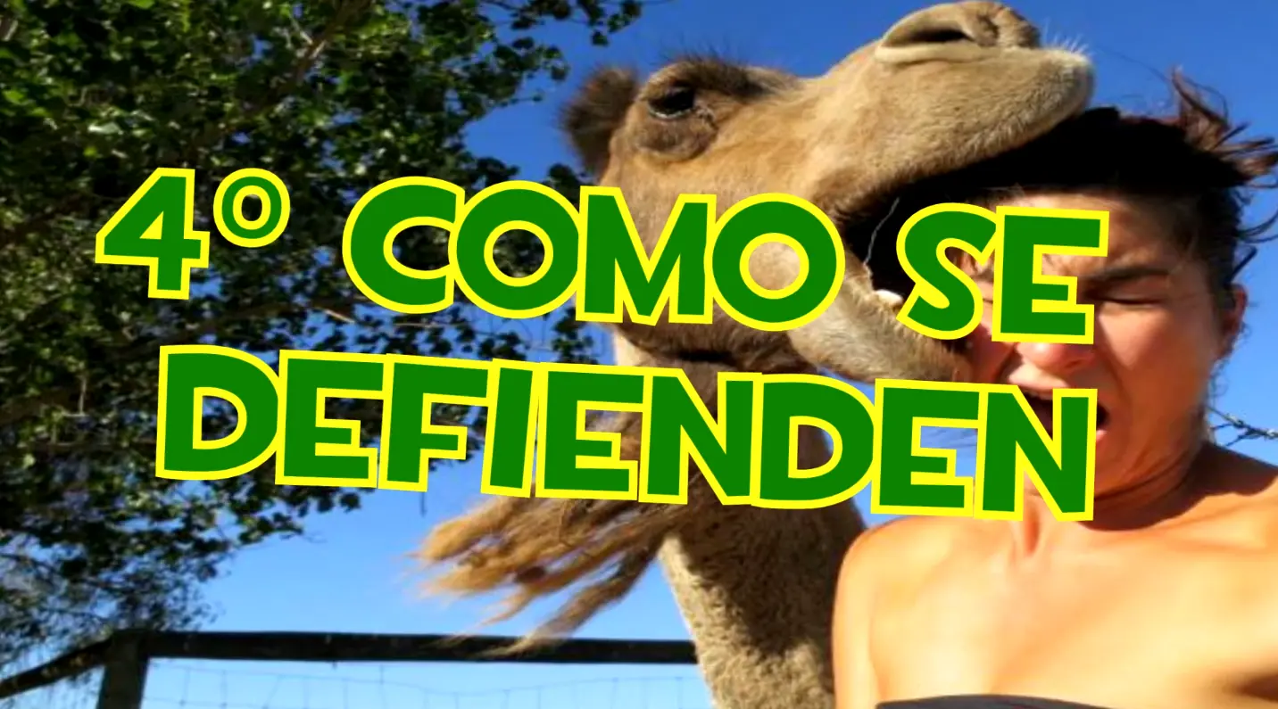 crear un homunculo real