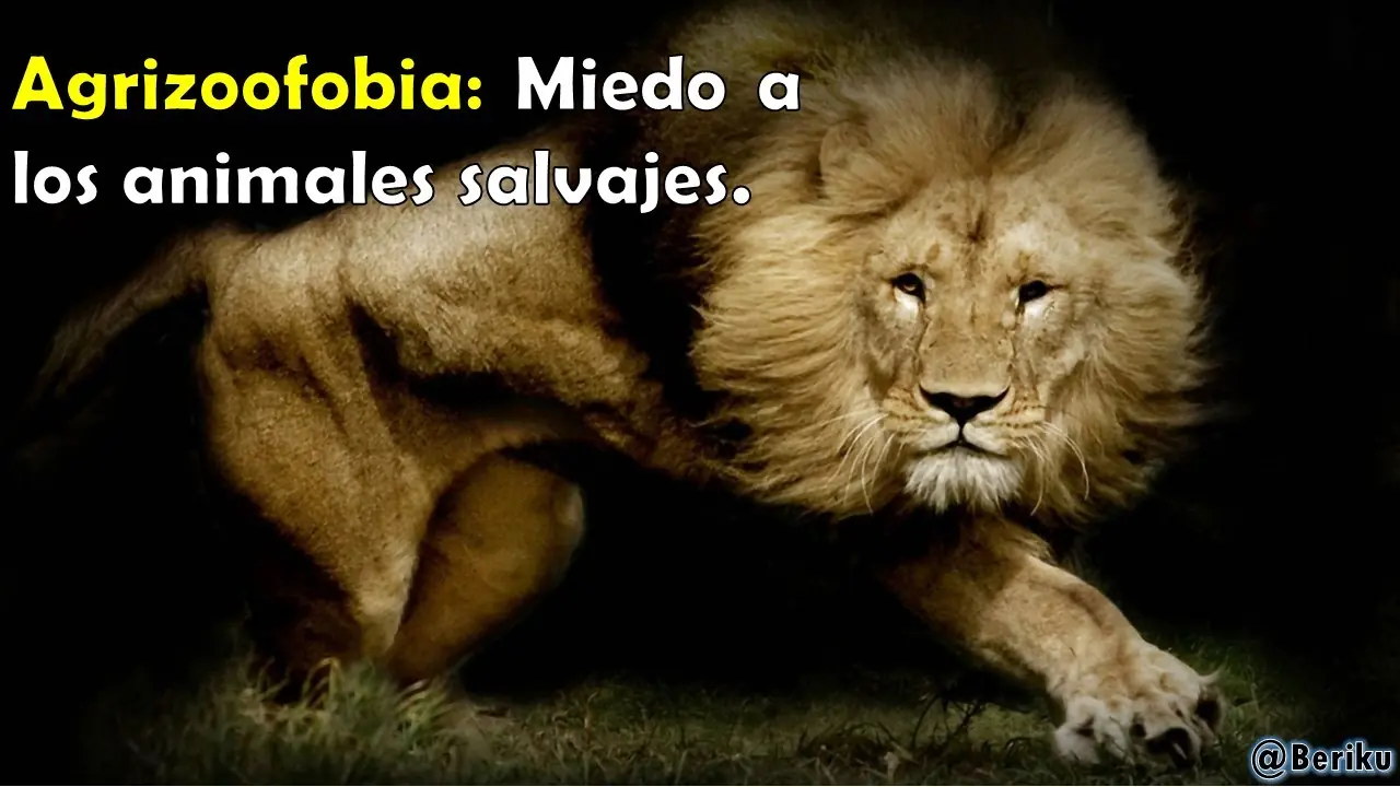 ciencia