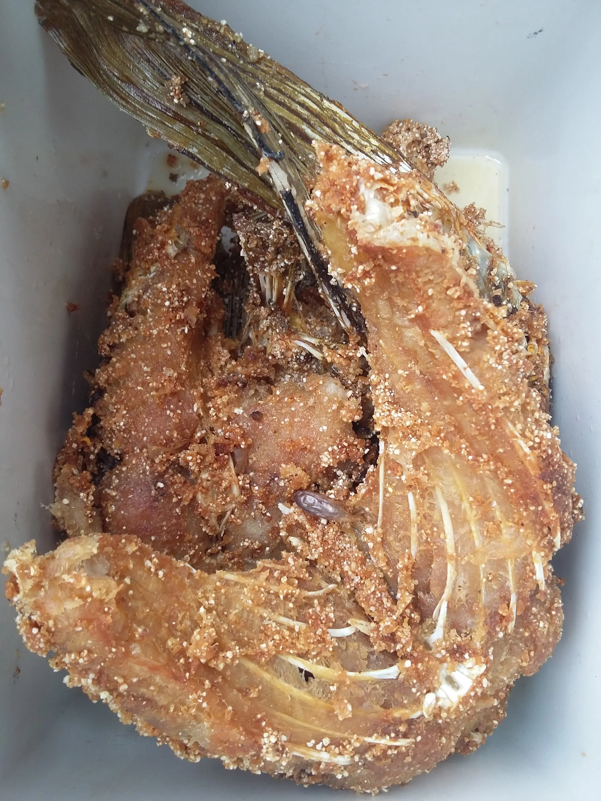 chicharron