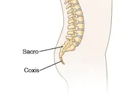 Partes del cuerpo que no sabés cómo se llaman...