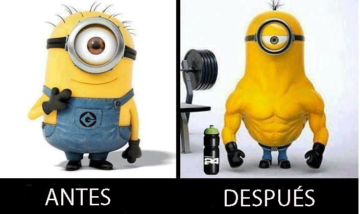 humor humor