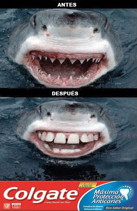 Las 20 Fotos del Antes y después más virales y divertidas Las 20 Fotos del Antes y después más virales y divertidas
