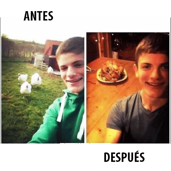 imagenes virales imagenes virales