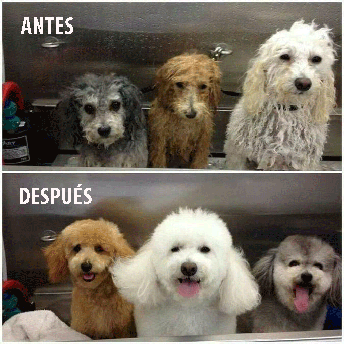 imagenes virales imagenes virales