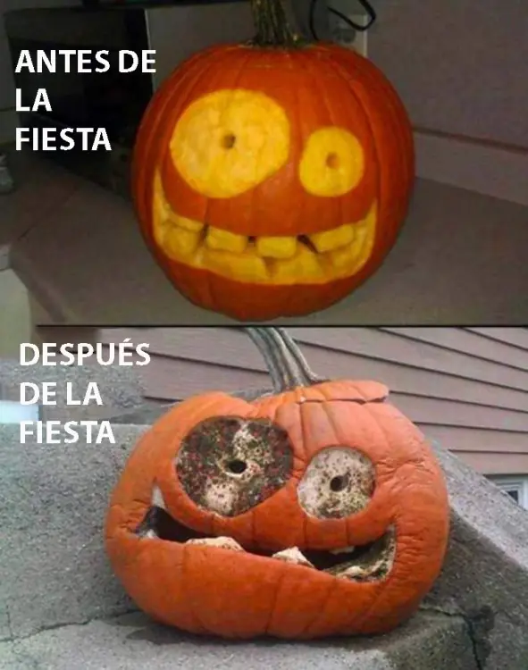 memes memes