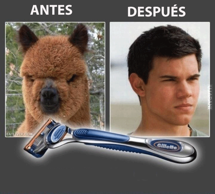 imagenes virales imagenes virales