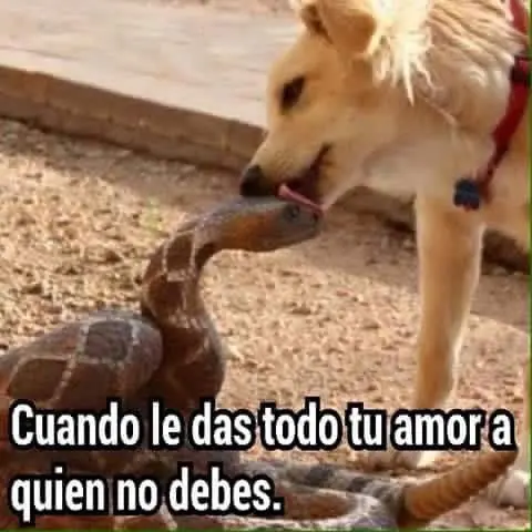 humor de viernes