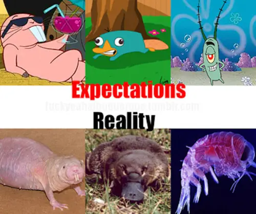 Humor grafico... y nada mas, 2do post de mierda