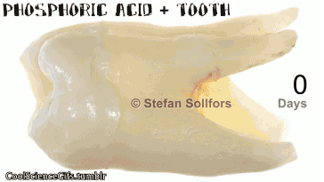 Ciencia y Educación. Gifs impresionantes