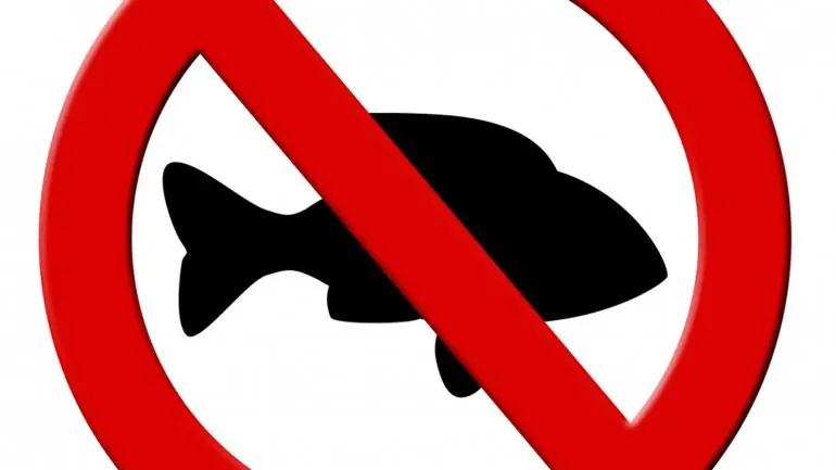 Pescado acumula contaminantes que ponen en riesgo la salud?