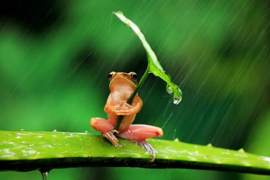 evaporacion