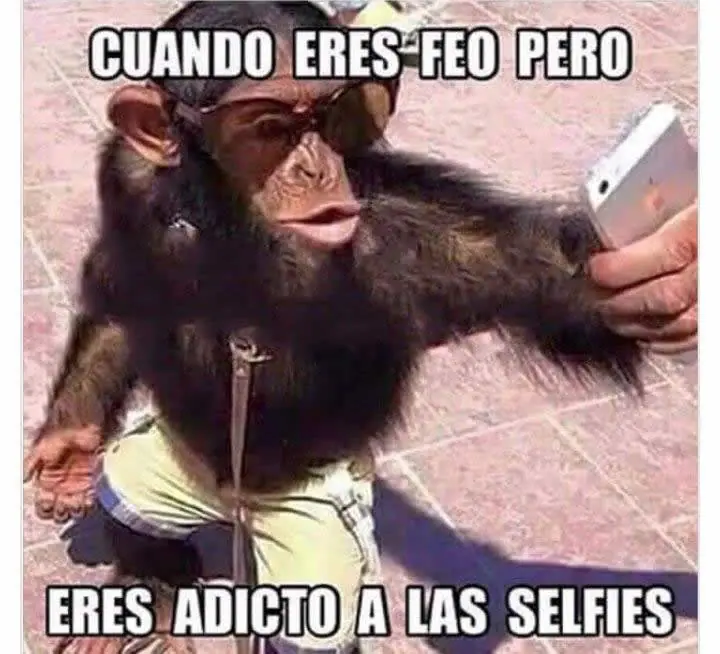 chapo chapo