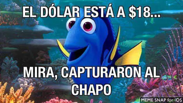 chapo chapo
