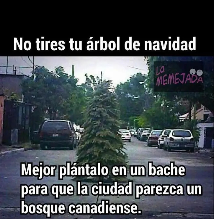 chapo chapo
