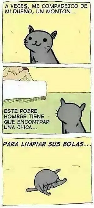 humor