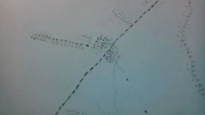 notas