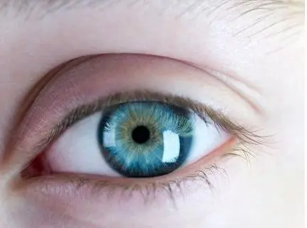 ¿Por que tenemos diferentes color de ojos?
