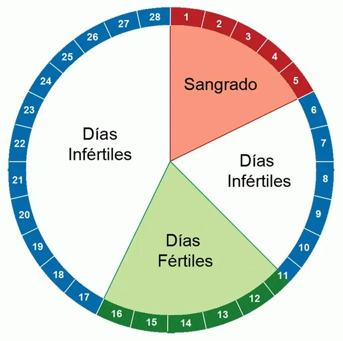 embarazos